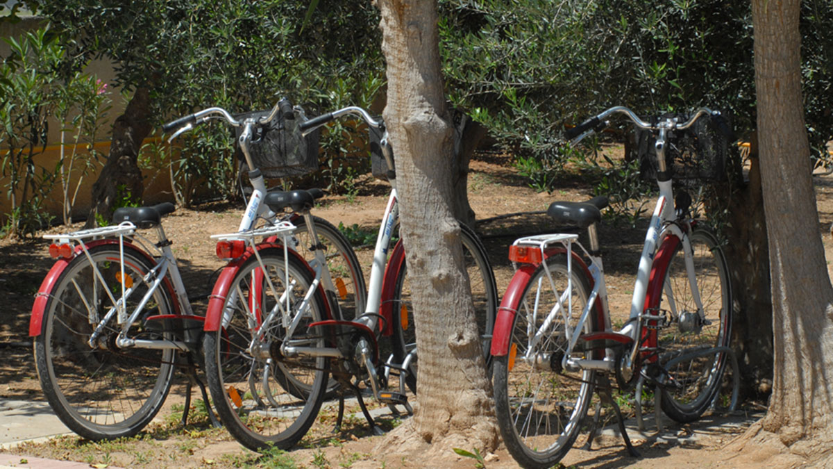 Palm Beach Hotel & Bungalows - NR